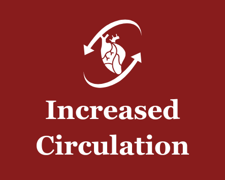 Increased Circulation - heart with arrows icon