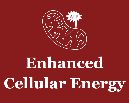 Enhanced Cellular Energy - cell icon