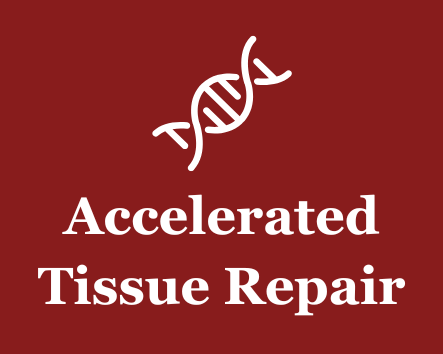 Accelerated Tissue Repair - DNA helix icon